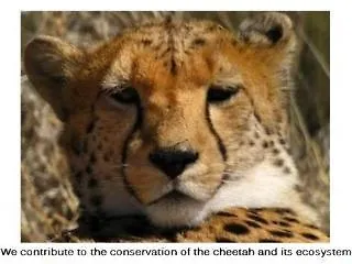 St. John's Terrace Nocleg ze śniadaniem 5*